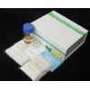 48T/96t 鸡血小板因子4(PF4/CXCL4)ELISA试剂盒