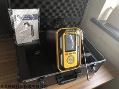JH-66型 全自动综合烟气分析仪(选配耐温探针)