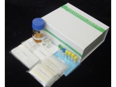 48T/96t 豚鼠内皮素1(ET-1)ELISA试剂盒使用说明