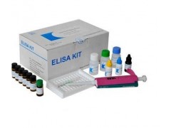 48T/96t 兔子基质金属蛋白酶9(MMP-9)ELISA试剂盒