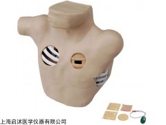 QS/L67 胸腔穿刺引流电动模型