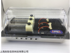 XR900型 大鼠无创血压测定仪