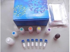 48T/96t 大鼠C肽(C-Peptide)ELISA试剂盒