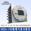 SICEX-100防爆氧气分析仪