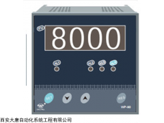 WP-DS821-000数显控制仪