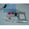 人胃泌素释放多肽(GRP)ELISA试剂盒