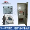 TK-5000型化工过程气体分析系统