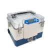LDX-ZR-3730 污染源真空箱氣袋采樣器