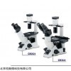HAD-CKX41-F32FL 倒置荧光显微镜