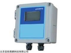 DP-G96EP 防爆pH/ORP 变送器