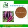 紫色胡萝卜粉10:1 胡萝卜素花青素