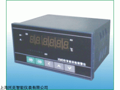 上海托克TE-XM164PB智能数显八路多路巡检仪