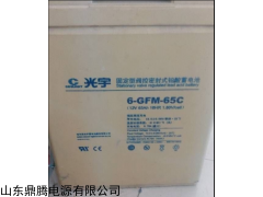 6-GFM-65c 江西6-GFM-65c蓄电池报价