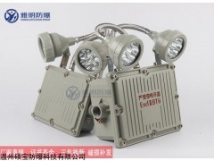 GR-ZFZD AC220V/3W防爆LED应急灯