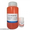 BTN91101A 一管式TMB顯色液(可溶型)