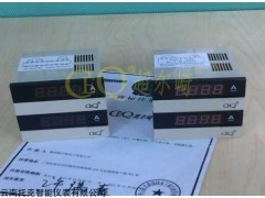 数字电压仪表 CD194U-1×1