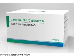 B型利钠肽（BNP）检测试剂盒