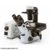 奥林巴斯CKX53倒置显微镜三目LED光源