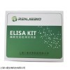 大鼠促生长激素释放激素ELISA试剂盒