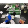 大鼠羧甲基赖氨酸ELISA试剂盒