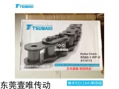 RS80-1-RP-U 日本TSUBAKI滚子链条RS80-1椿本传动链条