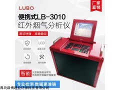 路博LB-3010非分散红外烟气分析仪