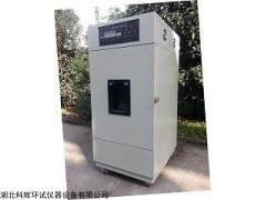 ZN-C 1000W高压汞灯紫外线老化箱武汉厂家