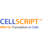 cellscript总代理  C-SCMT0625 25 reactions