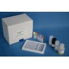 豚鼠血红蛋白(HB)ELISA试剂盒
