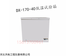 DX-170-40 低温试验箱  河北天检