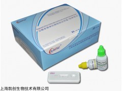 沙眼衣原体检测试剂生产厂家上海凯创生物