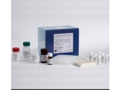 马C反应蛋白(CRP/PTX1)ELISA试剂盒