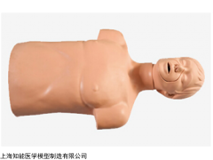 BIX-J145 成人气道梗塞及CPR模型