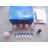 山羊膽囊收縮素/縮膽囊素八肽ELISA試劑盒