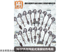 WZP 西安君昊天诚-系列装配式薄膜铂热电阻
