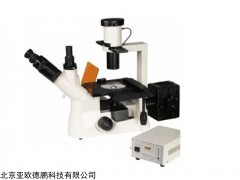 DP-F80 倒置荧光显微镜
