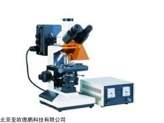 DP-F150 荧光显微镜