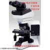 OLYMPUS显微镜BX43