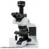 奥林巴斯BX53显微镜