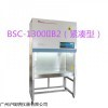 实验洁净台BSC-1300IIB2医用型生物安全柜