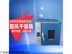 国华烘箱DGX-20电热鼓风干燥箱批发