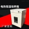 电热恒温培养箱DHP-9082(容量80L)
