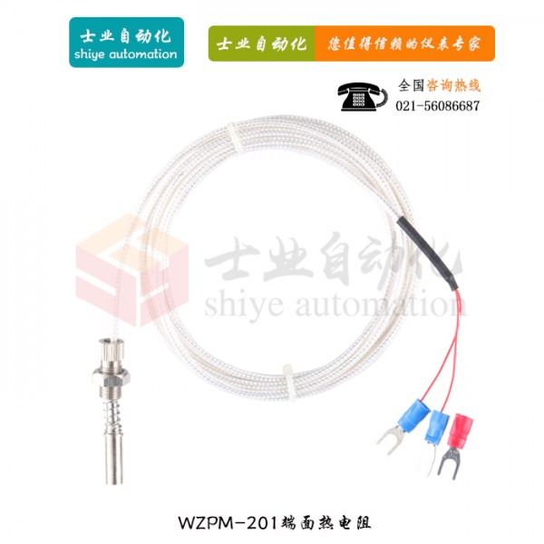 WZPM-201端面热电阻