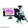 BK 電動顯微鏡-重慶奧特光學儀器有限公司