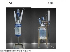 LDX-SF-5L 双层玻璃反应釜LDX-SF-5L