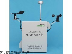 AMLSEN01型 恶臭在线监测仪（厂家）