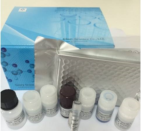 人乳过氧化物酶(LPO) ELISA 试剂盒
