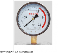 型号:HQ04-YTN-100 耐震压力表