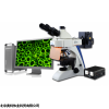 結核桿菌檢測熒光顯微鏡 BK-FL