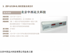 型号:RP333-ZDF-5212M-IIL 微机型电阻电离复合真空计